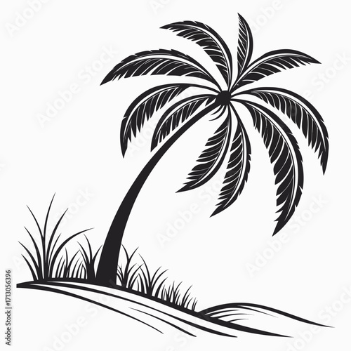 palm trees silhouette