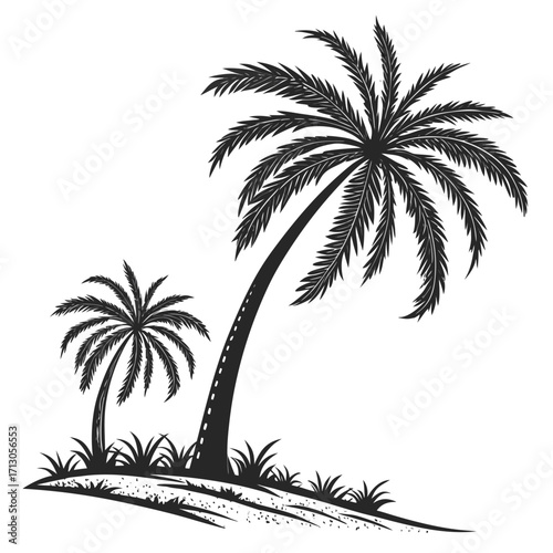 vector illustration of palm trees