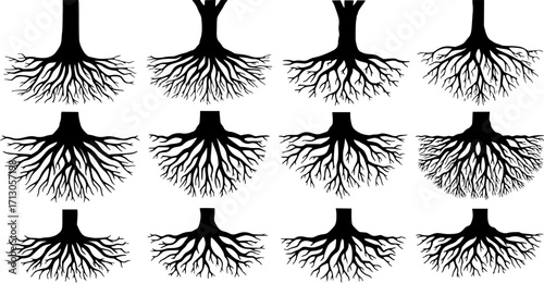 Tree roots silhouette vector collection, underground branching system illustration, natural black root set, organic plant base elements for design
