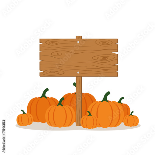 Autumn harvest pumpkins arranged around a wooden signpost announcing fall festivities and decorations isolated on white background Vector Illustration
