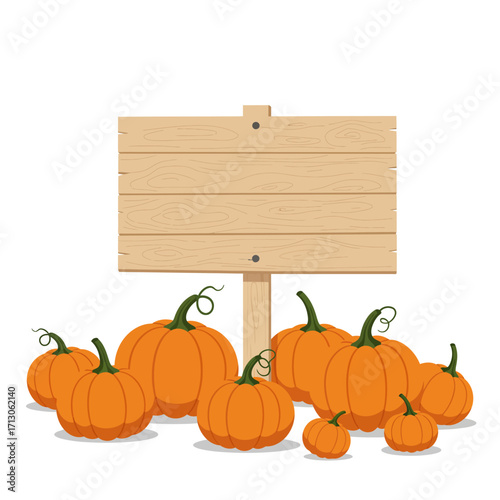 Autumn harvest pumpkins wood sign greeting card design element fall seasonal festive celebration decor isolated on white background Vector Illustration