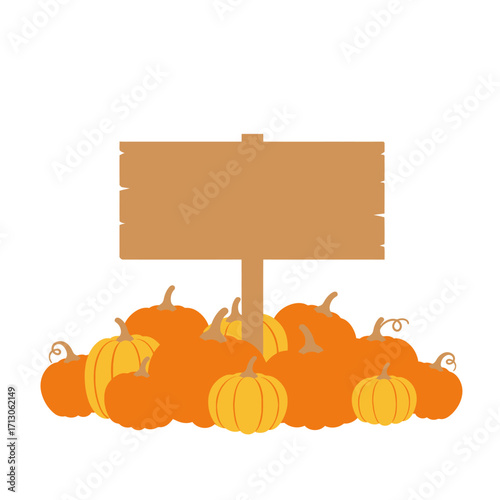 Harvest pumpkins gathered around a wooden sign ready for fall decorations and autumn celebrations isolated on white background Vector Illustration