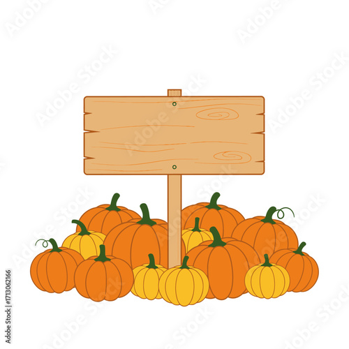 Harvest pumpkin patch scene with rustic wooden sign for fall season greetings and decorations isolated on white background Vector Illustration