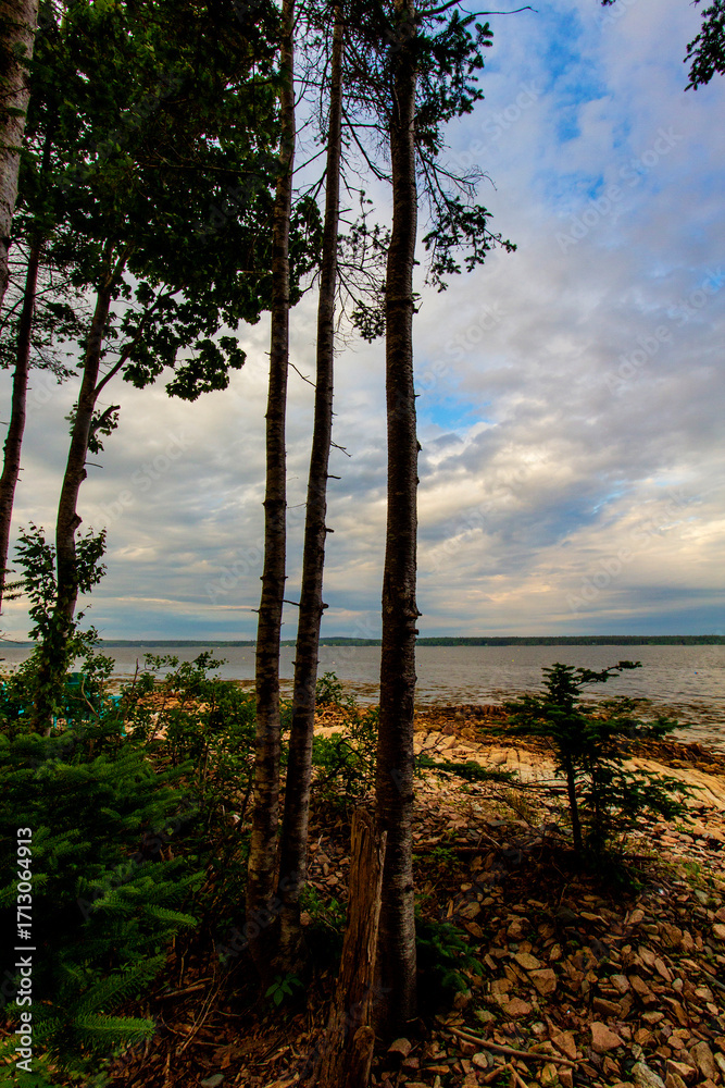 Obraz premium Morning at Gouldsboro Bay, Maine