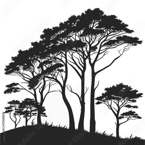set of silhouettes of trees