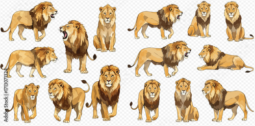 A collection of majestic male lion illustrations in various poses such as walking, sitting, lying down, and roaring on a transparent background.