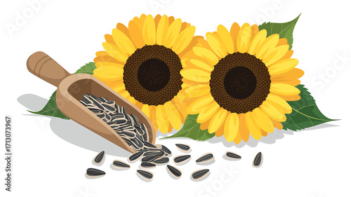 Bright Yellow Sunflowers with Wooden Scoop and Sunflower Seeds Isolated on White Background Illustration