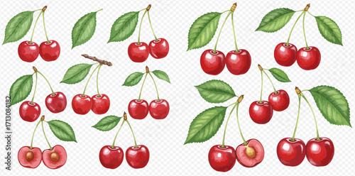 A collection of hand-drawn ripe red cherries with green leaves, shown whole, in pairs, and sliced in half to reveal the pit.