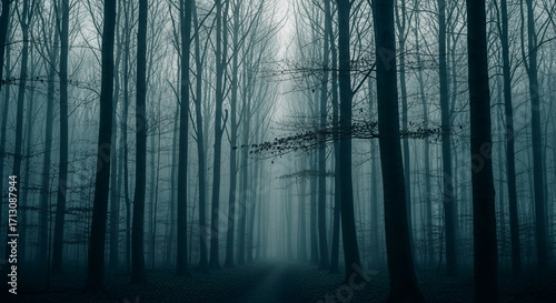 Misty forest path, dark teal trees, shrouded in fog, creating a mysterious and atmospheric scene, ideal for fantasy or thriller concepts