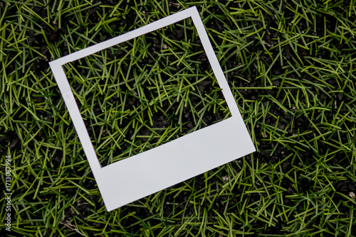 White polaroid frame on green grass