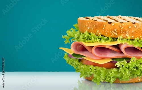 Tasty fresh big sandwich with ham, and vegetables