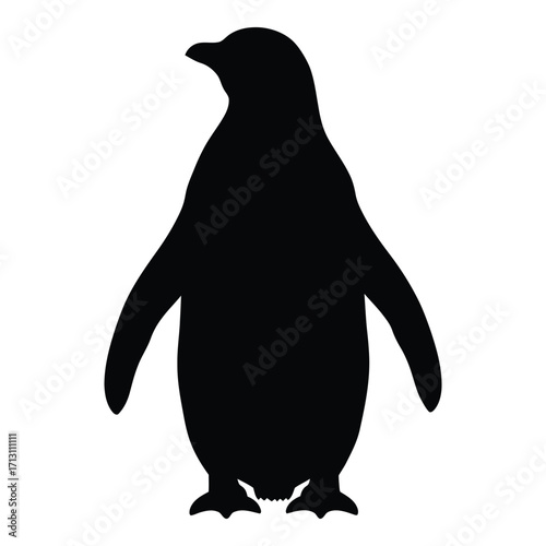 A striking black penguin form against a white background silhouette