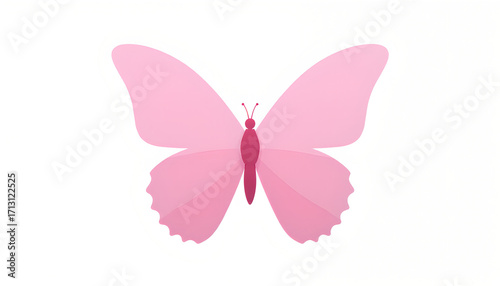 pink butterfly on white background