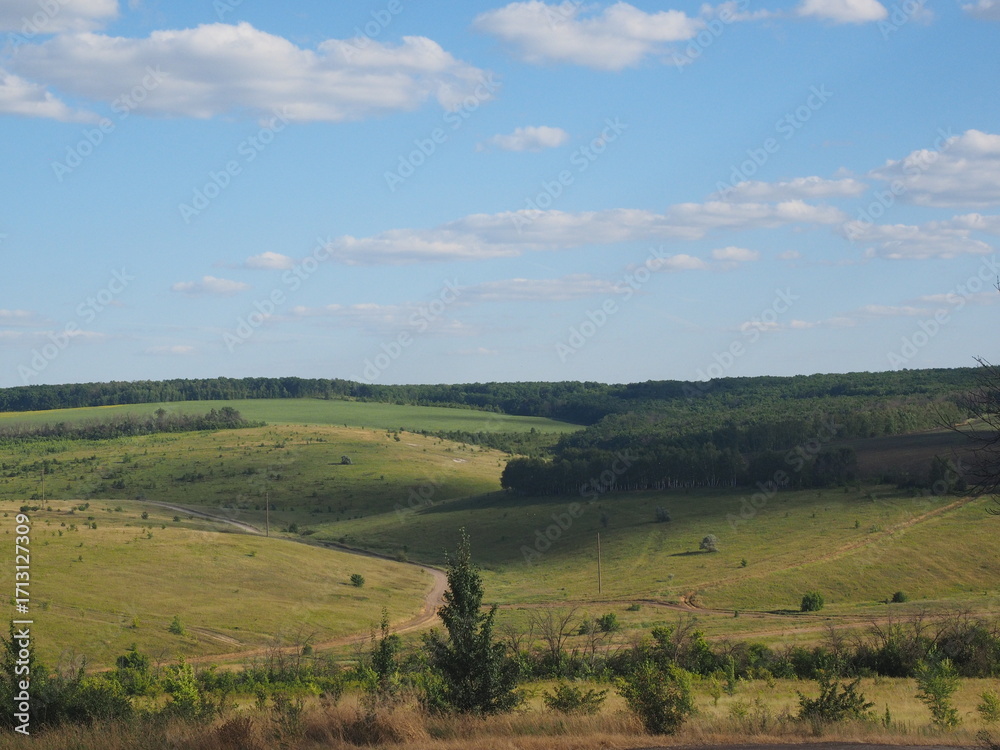 Obraz premium landscape with trees and blue sky