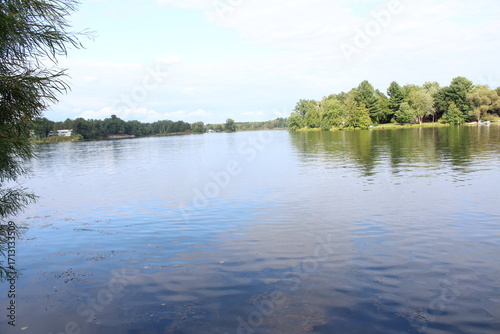 reflection of trees in water