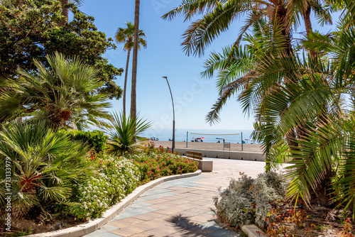 Estepona, Malaga, Andalusia, Spain. 3 September 2025. Garden with cactus and palm trees