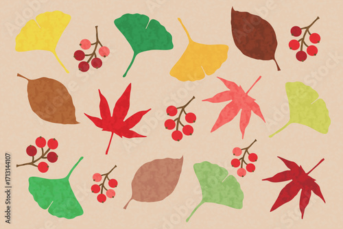 秋　葉っぱ　紅葉　植物 イラスト ベクター 