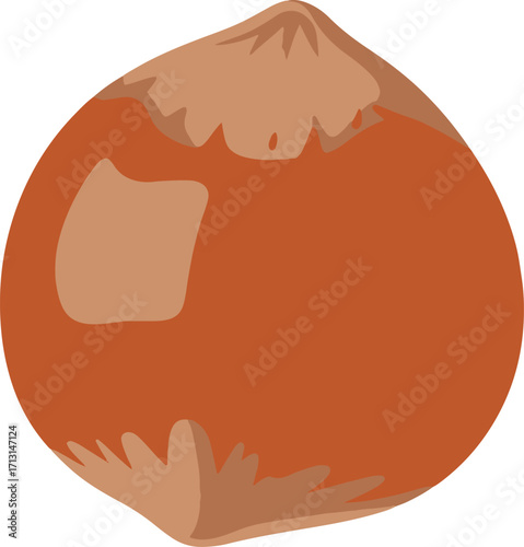 A close-up illustration depicting a single hazelnut, showcasing its rich brown shell and textured surface. The detail highlights the natural variations in color and the subtle striations of the nut.