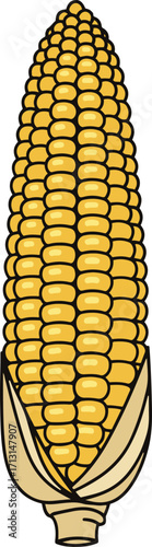 The illustration shows a single ear of corn, depicted in a detailed, slightly stylized manner.