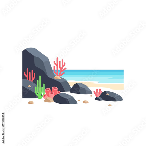 Rocky seashore with coral and turquoise water.