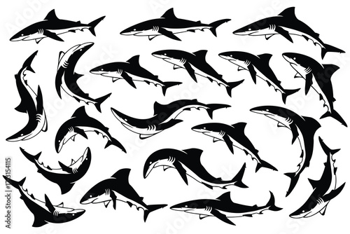 Brush stroke shark silhouettes set, Different poses Shark vector collection, Black and white shark silhouettes flat vector illustration isolated on white background