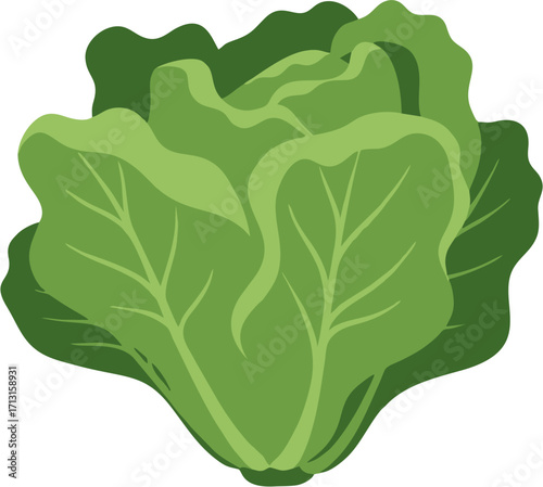 Fresh, Green Lettuce A Healthy and Nutritious Vegetable for Your Diet