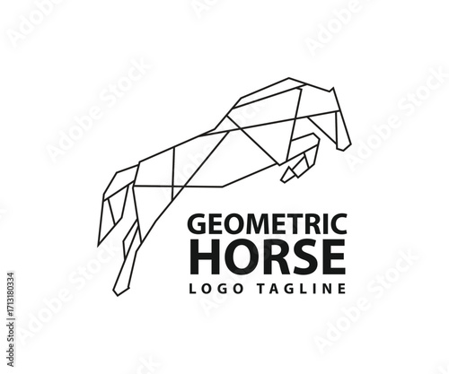 Geometric horse logo icon design illustration