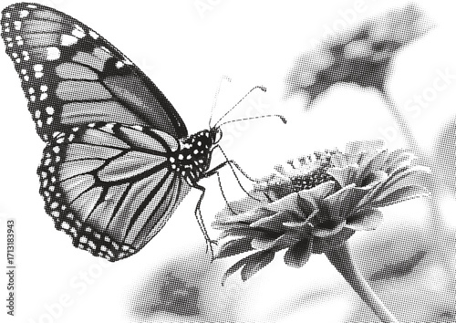 Vector art of monarch butterfly resting on a flower in a black and white halftone dot illustration style