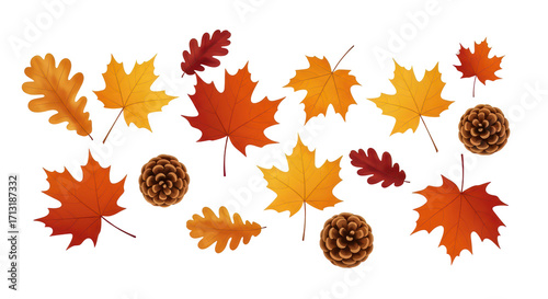 Colorful autumn leaves and pinecones scattered on a black background for seasonal decor design