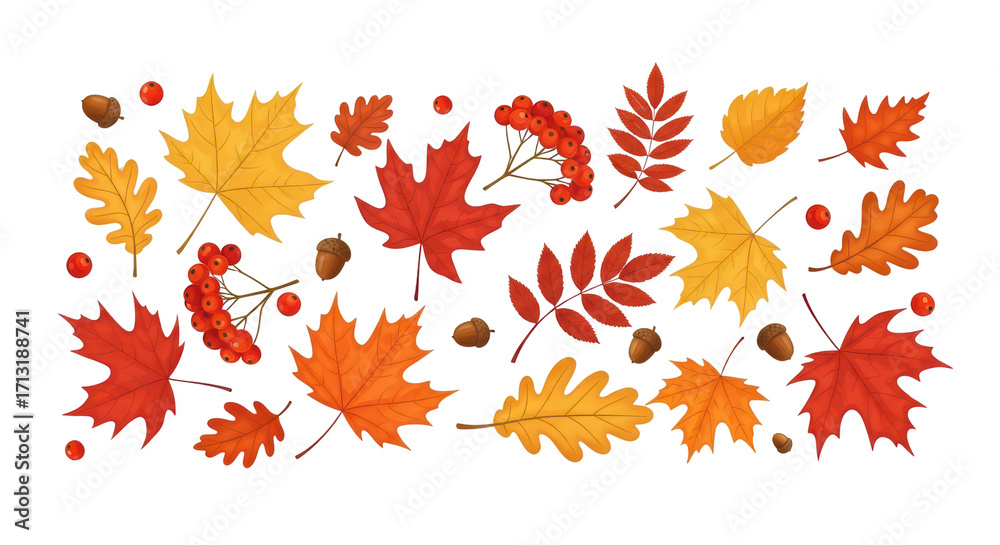 Obraz premium Vibrant autumn leaves and berries scattered in warm hues on a black background