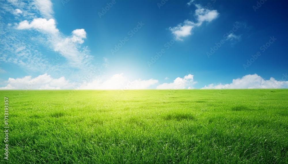 Obraz premium Green Grass And Blue Sky In Wide Banner Beautiful Meadow And Sunlight
