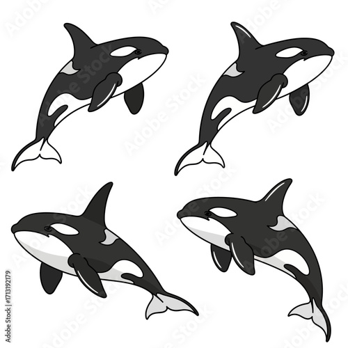 A collection of four illustrated cartoon orcas, or killer whales, swimming in various poses against a plain white background.
