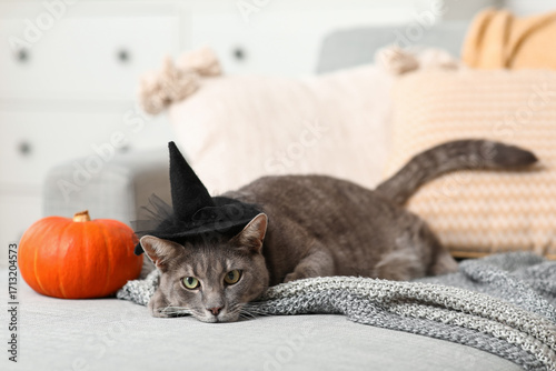 Cute cat with witch hat and...