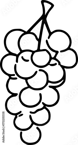 Bunch of grapes minimalist line art illustration