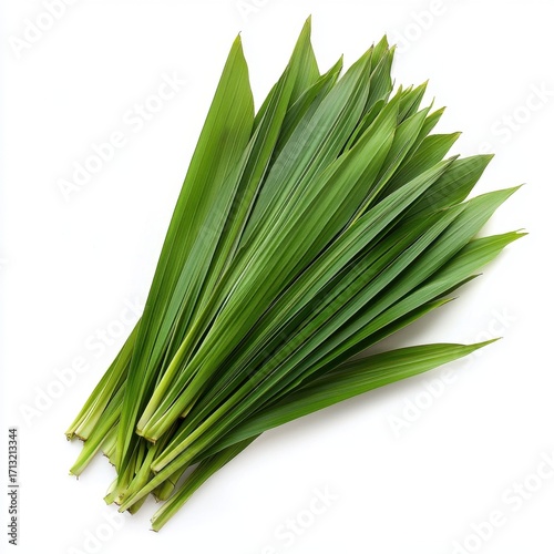 Fresh green pandan leaves arranged neatly, showcasing their vibrant color and long, slender shape.