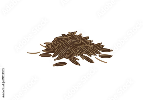 A pile of cumin seeds brown with light stripes scattered on a white background