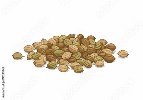 A pile of tan green  brown coriander seeds with ridged surfaces and a light shadow beneath