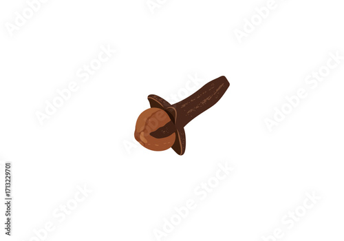 A single brown clove featuring a bulbous head and long stem against a white background