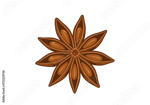 A single star anise seed pod with eight segments in a circular arrangement brown in color