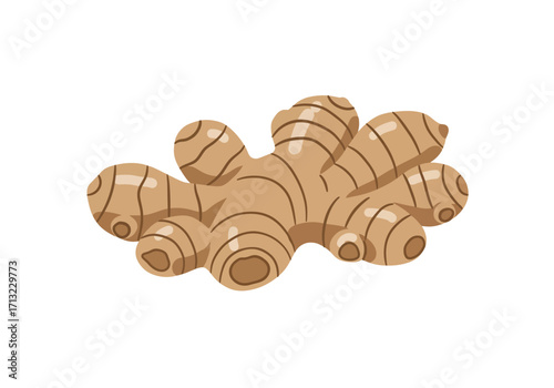 A tan ginger root with segmented bulges and darker brown lines