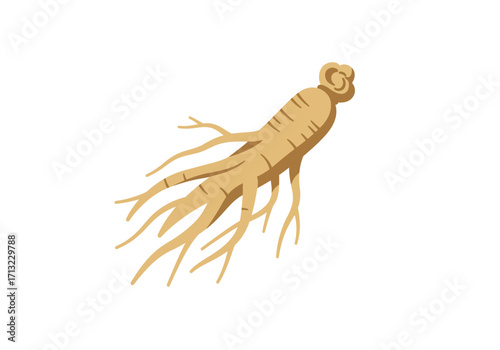 A tan ginseng root with rootlets extends outward at various angles