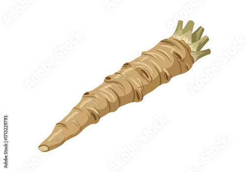 A tan horseradish root is shown cylindrical and narrowing at one end with stubby green stems at the wider top