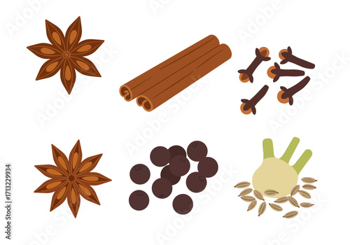 Assorted spices star anise cinnamon cloves peppercorns fennel bulb and seeds displayed on a white background