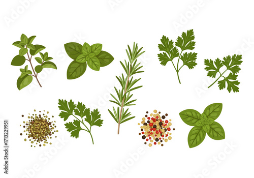 Assortment of herbs and spices including rosemary oregano basil parsley and peppercorns on a white background