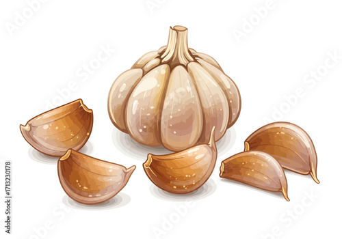Garlic bulb and cloves illustrated in a realistic style with light and shadow
