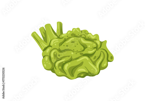 Green vegetable resembles cauliflower with thick stalks