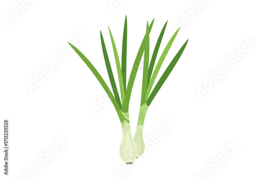 Green onions slender stalks pale bulbs and vibrant green leaves create a simple fresh depiction