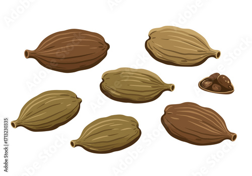 Group of cardamom pods some whole some opened to reveal seeds