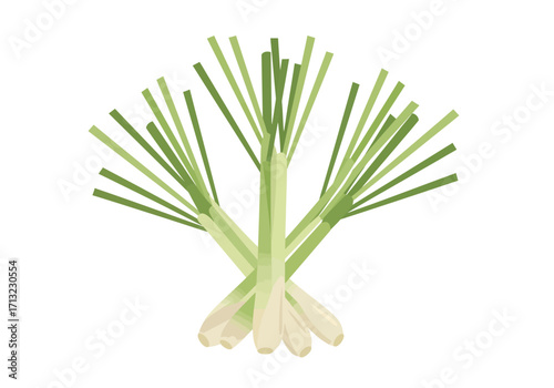 Lemongrass bundle with green stalks and white bulbs