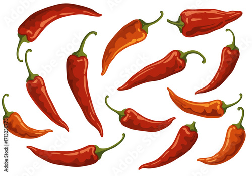 Red chili peppers in various shapes are displayed on a white background